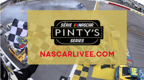 Pintys Series